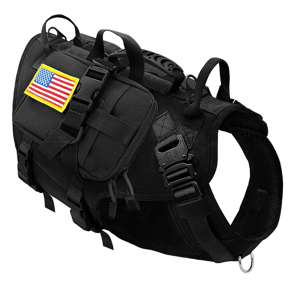 K9 Sentinel