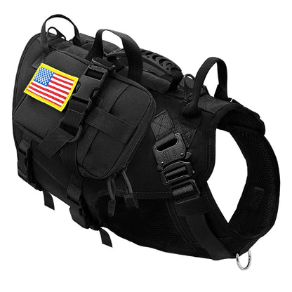 K9 Sentinel